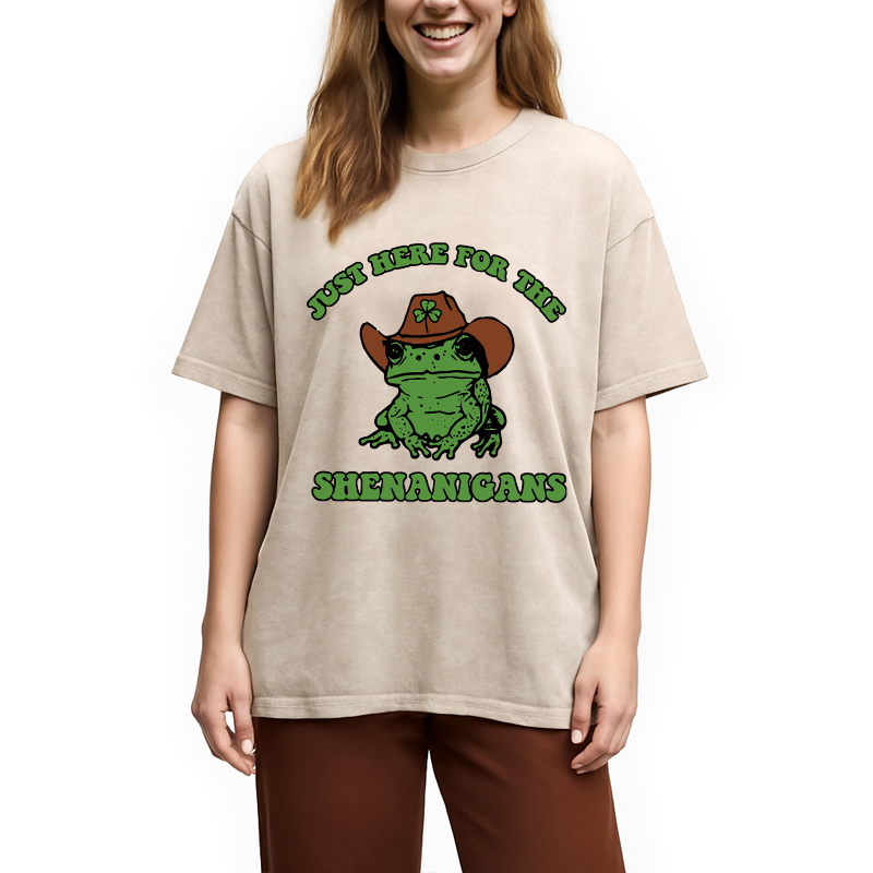 Modecanvas Here for the Shenanigans Washed T-Shirt