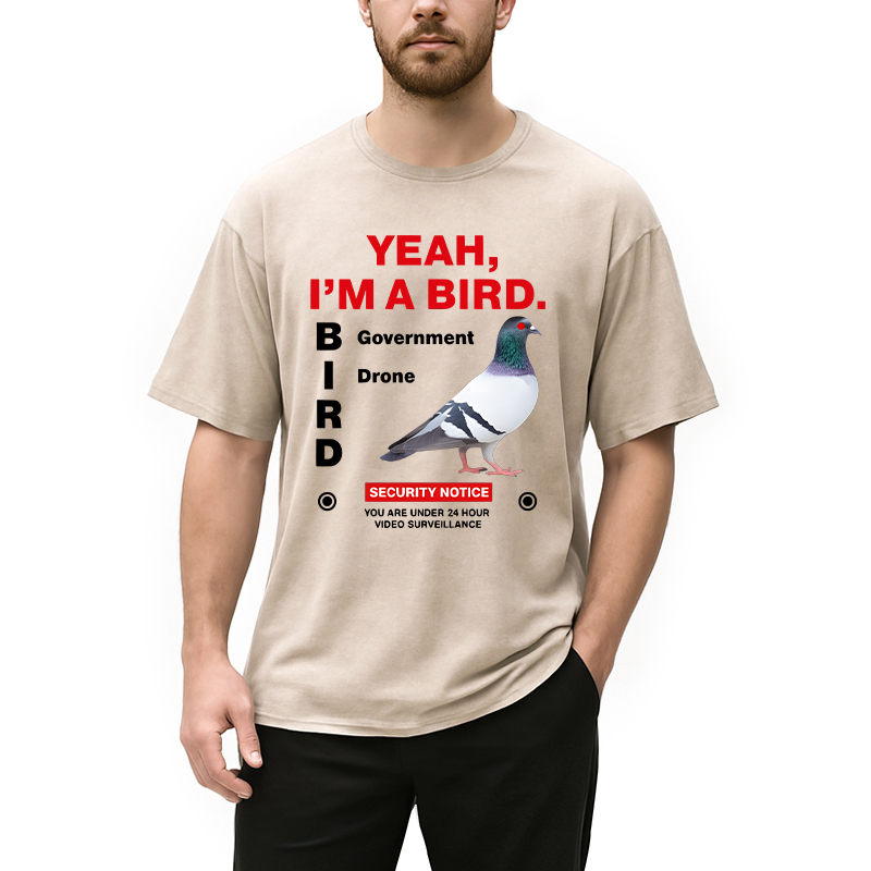 Modecanvas Government Funny Pigeon Puns DTG Printing Washed T-Shirt-modecanvas