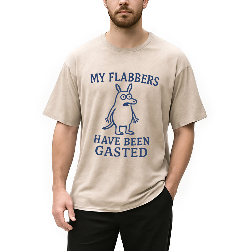 Modecanvas My Flabbers Have Been Gasted Funny Meme DTG Printing Washed T-Shirt-modecanvas