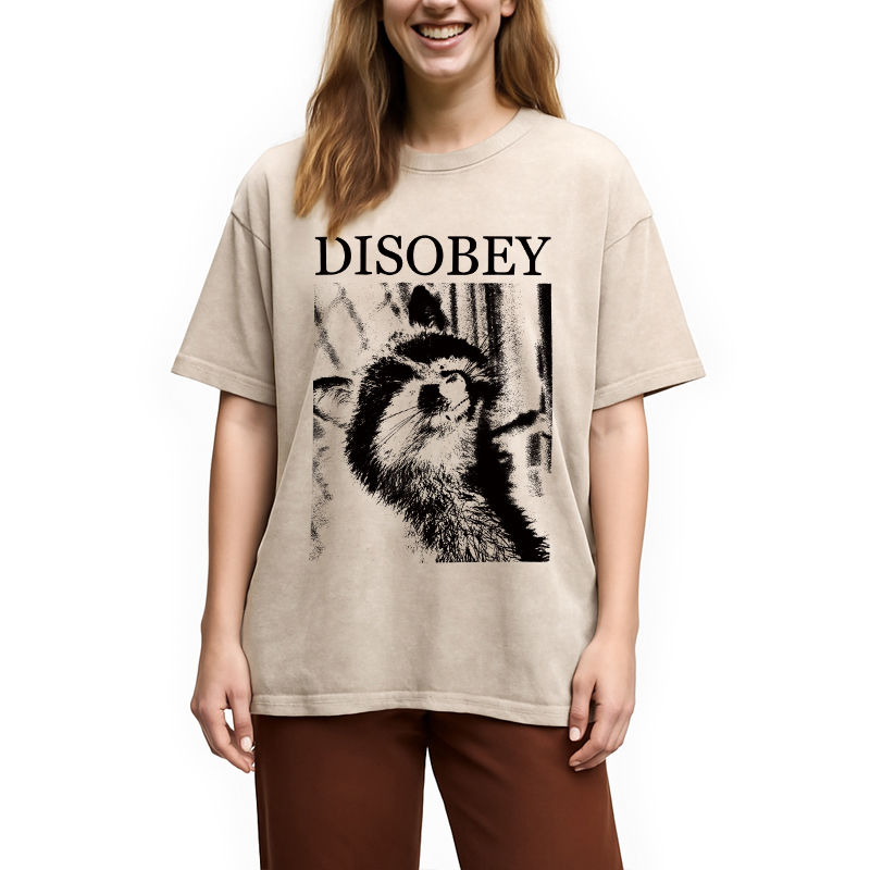 Modecanvas Disobey Raccoon DTG Printing Washed T-Shirt