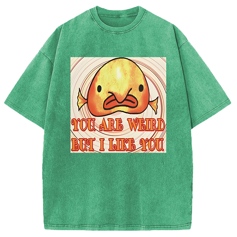 Modecanvas Odly Adorable Fish Meme DTG Printing Washed T-Shirt