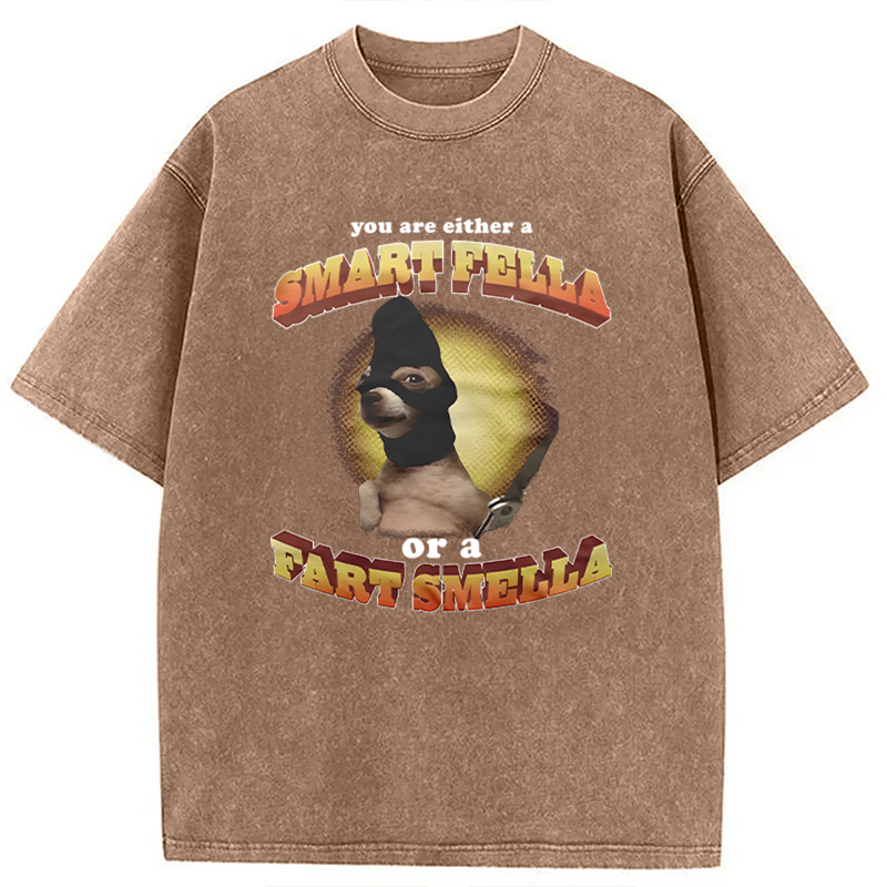 Modecanvas You Are Either A Smart Fella Or A Fart Smella Funny Meme DTG Printing Washed T-Shirt