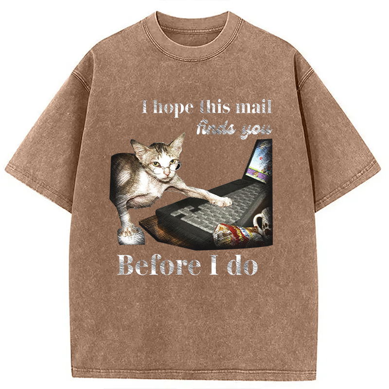Modecanvas Funny Send Mail Cat Meme DTG Printing Washed T-Shirt