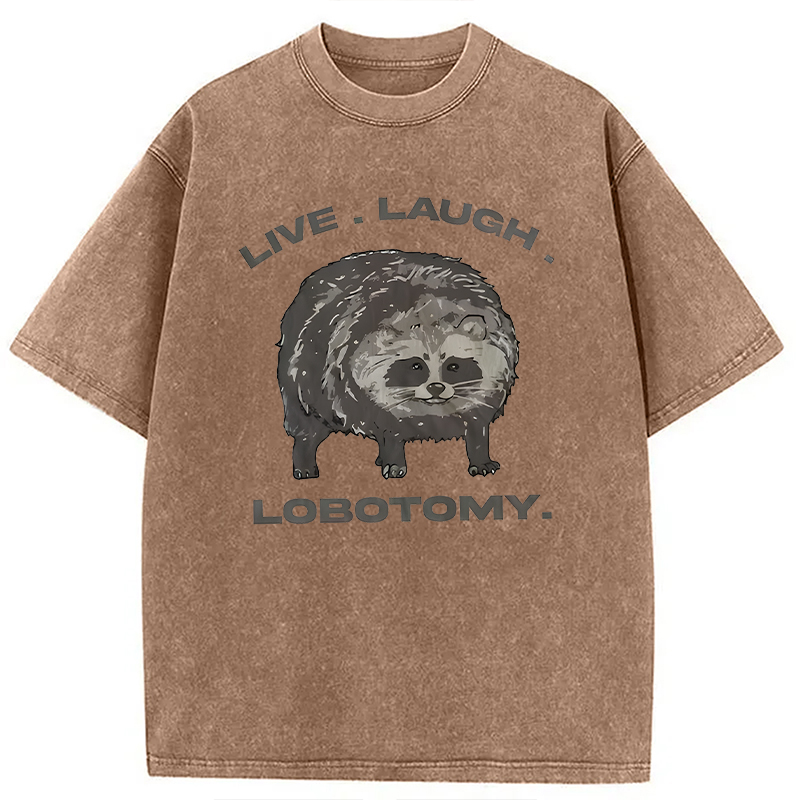 Modecanvas Live Laugh Lobotomy Funny Dolphin Meme DTG Printing Washed T-Shirt