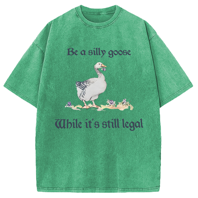 Modecanvas Be A Silly Goose DTG Printing Washed T-Shirt