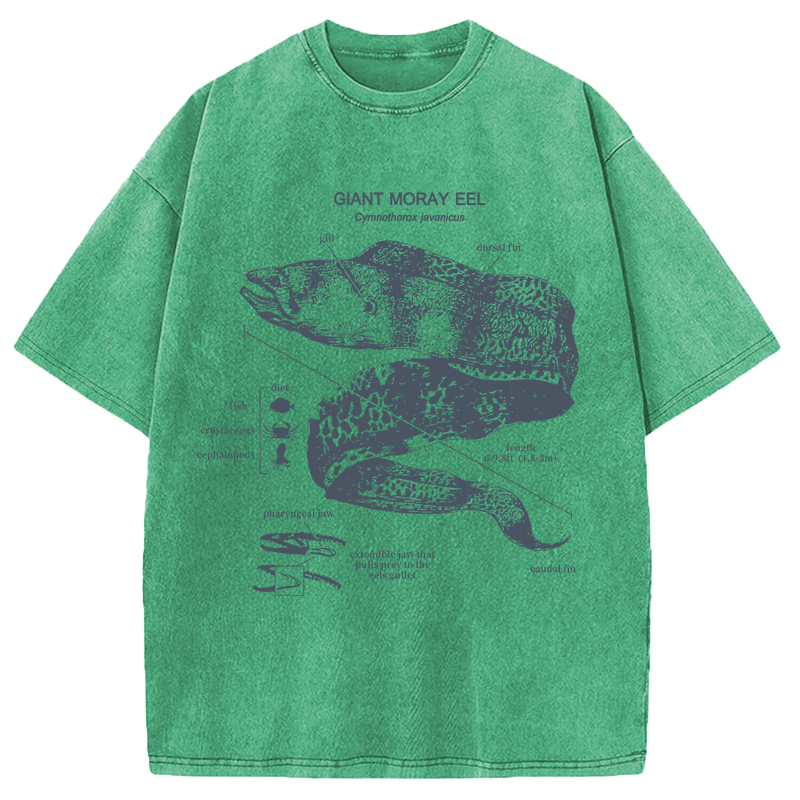 Modecanvas Moray Eel Anatomy Vintage DTG Printing Washed T-Shirt