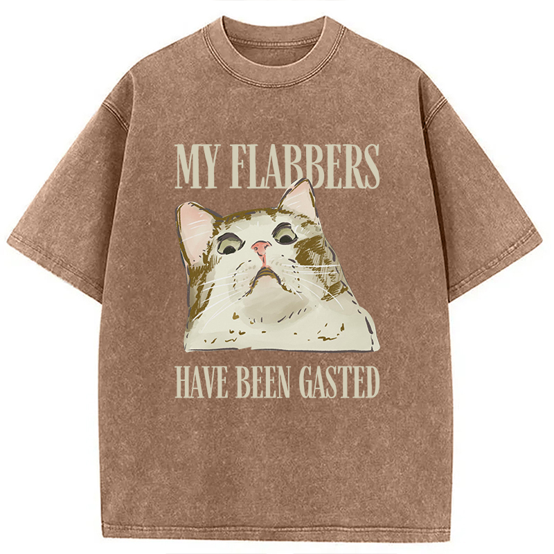 Modecanvas My Flabbers Have Been Gasted Cat Meme DTG Printing Washed T-Shirt