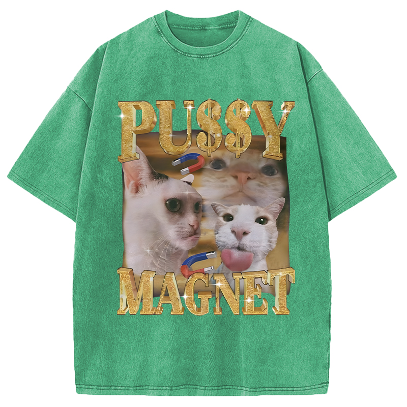 Modecanvas Ironic PUSSY MAGNET Cat Meme DTG Printing Washed T-Shirt