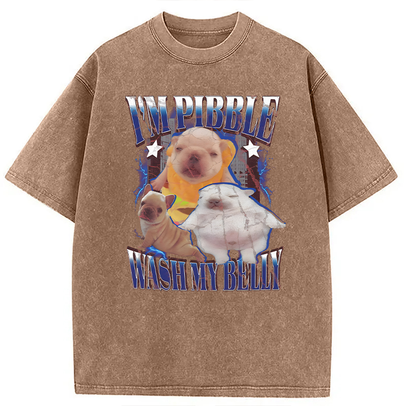 Modecanvas Everything is illegal DTG Printing Washed T-Shirt