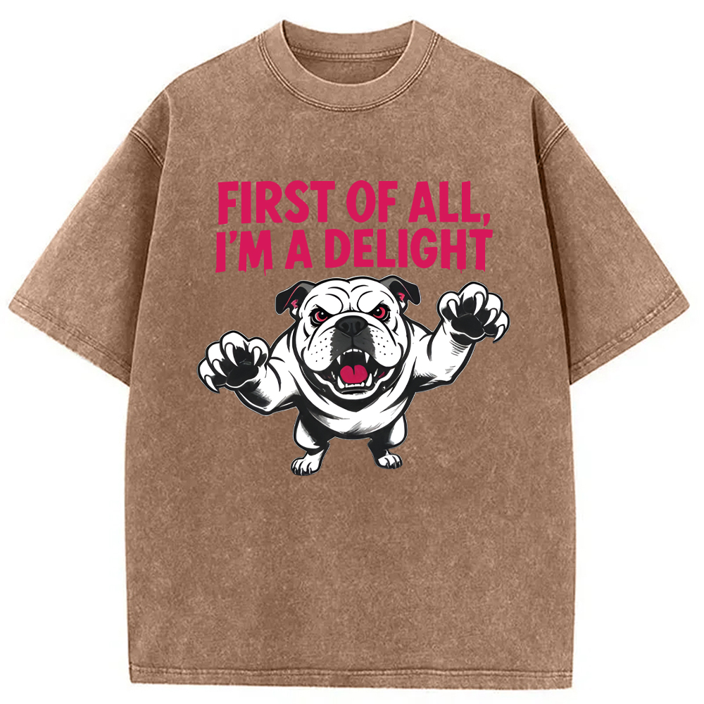 Modecanvas Fierce Bulldog Delight DTG Printing Washed T-Shirt