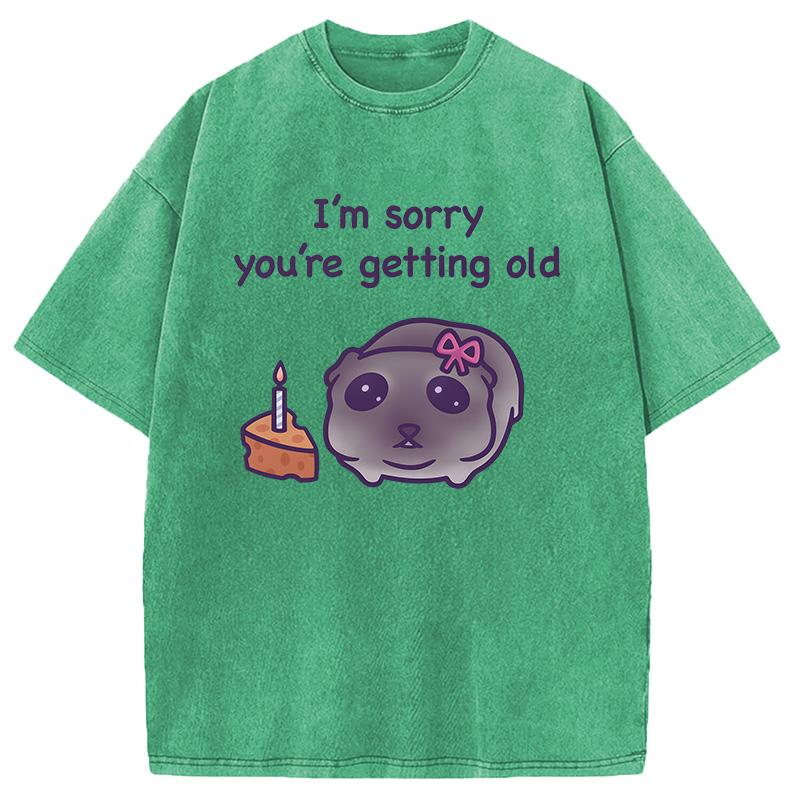 Modecanvas Sad Hamster Birthday Meme DTG Printing Washed T-Shirt