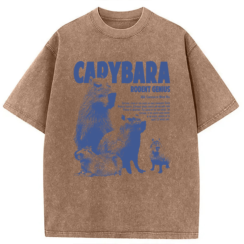 Modecanvas Capybara Vintage DTG Printing Washed T-Shirt