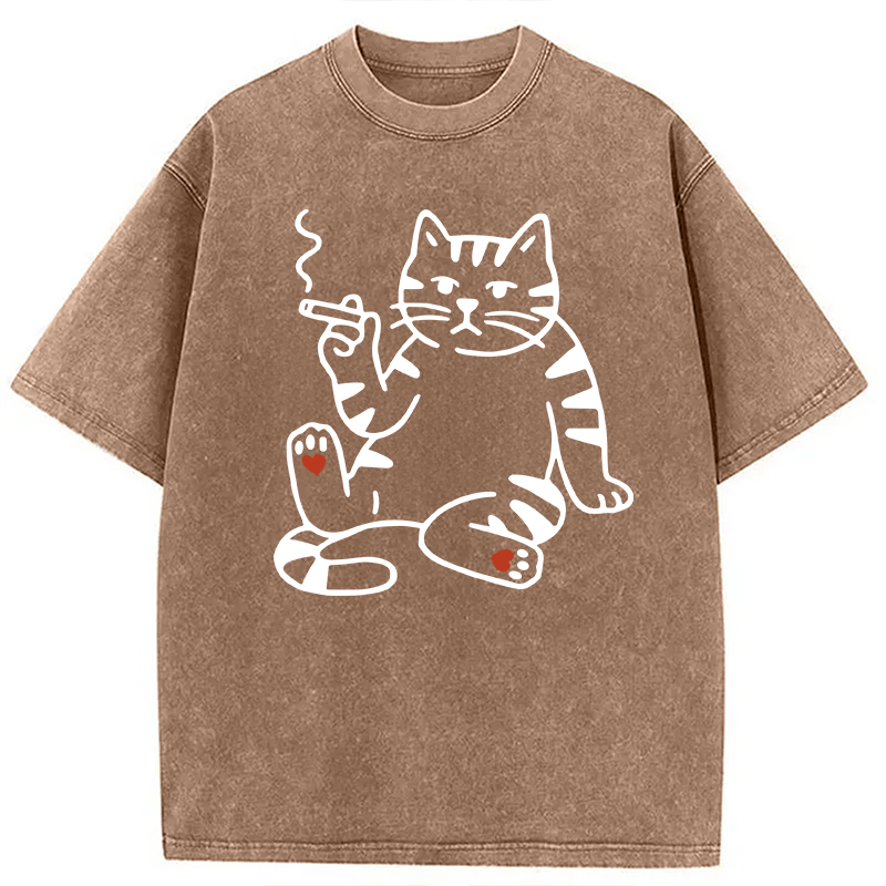 Modecanvas Funny Smoking Cat Meme DTG Printing Washed T-Shirt