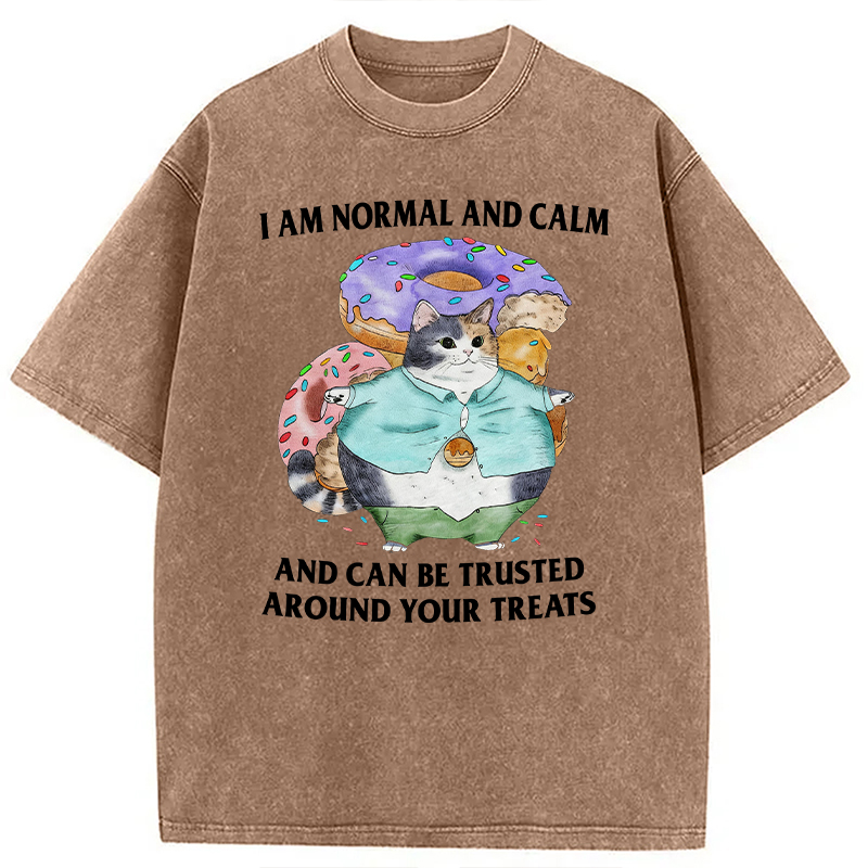 Modecanvas I Can Be Trusted Around Your Treats DTG Printing Washed T-Shirt