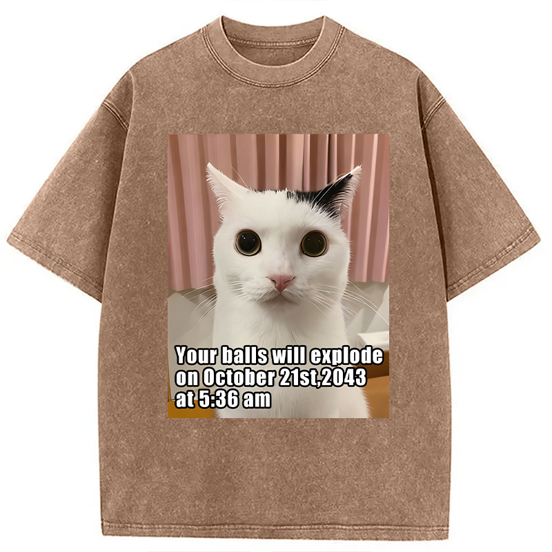 Modecanvas Your Balls Will Explode Funny Cat Meme DTG Printing Washed T-Shirt