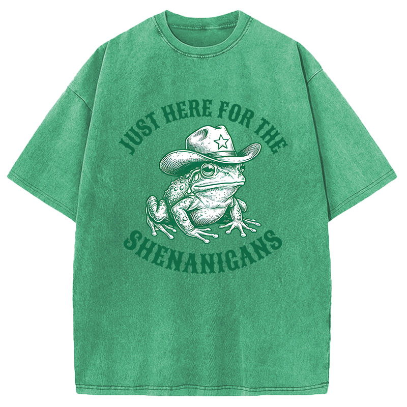Modecanvas Just Here for the Shenanigans Frog DTG Printing Washed T-Shirt