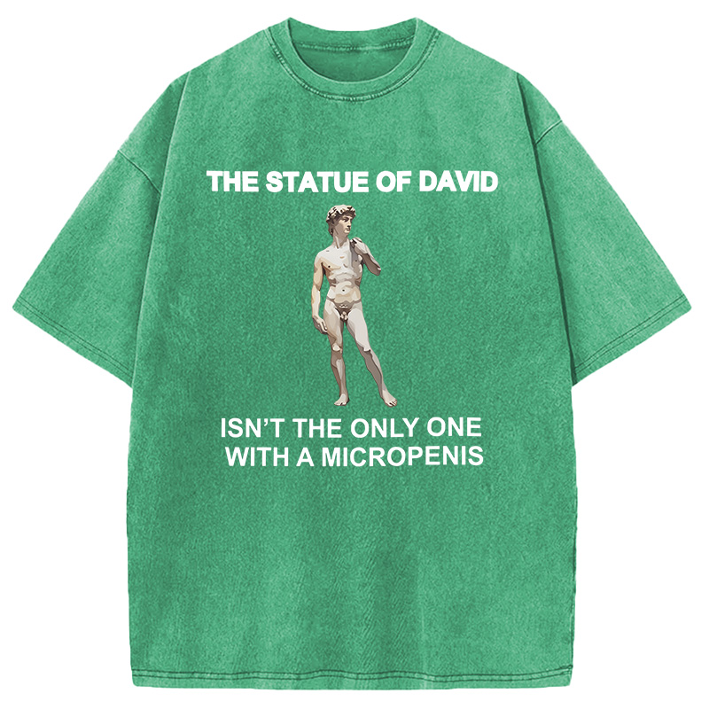 Modecanvas The Statue Of David Meme DTG Printing Washed T-Shirt