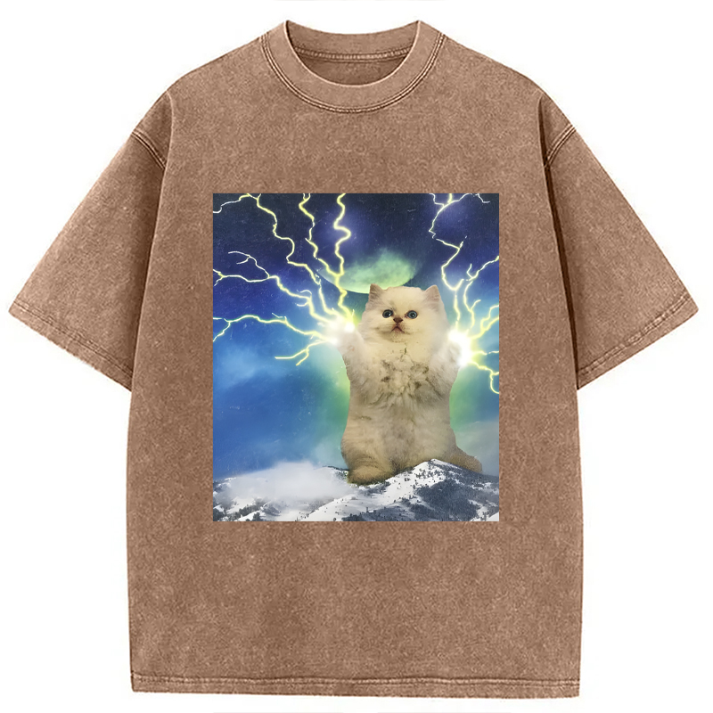 Modecanvas Lightning Cat DTG Printing Washed T-Shirt