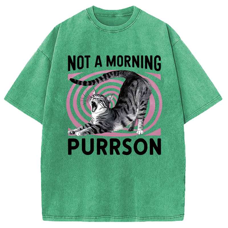 Modecanvas Not A Morning Purrrson Cat DTG Printing Washed T-Shirt