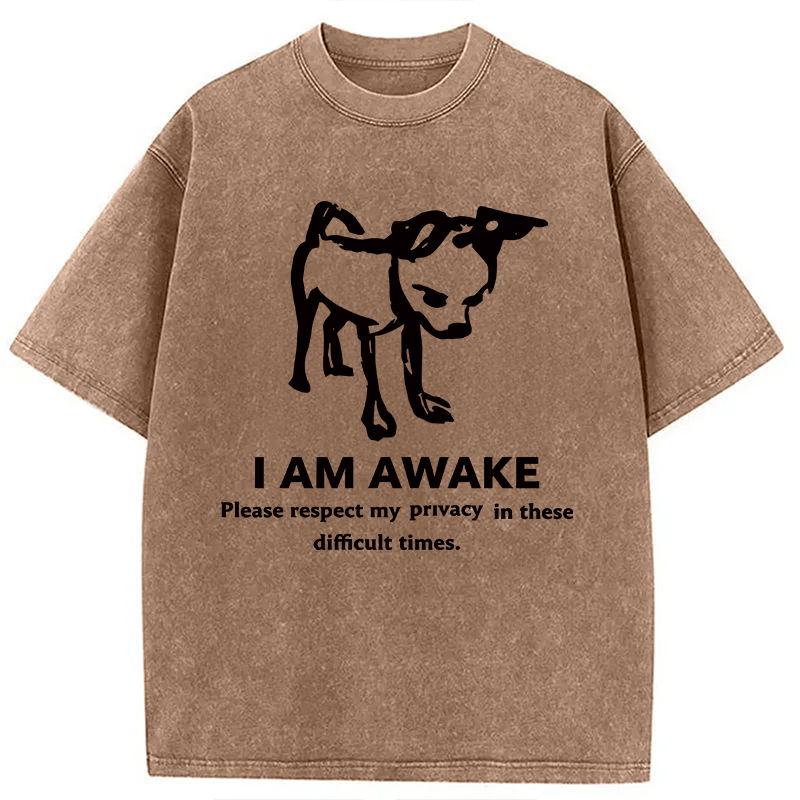 Modecanvas Silly Dog Privacy Meme DTG Printing Washed T-Shirt