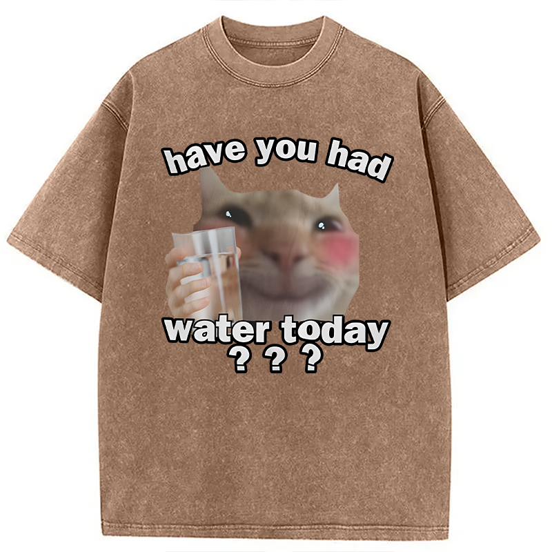 Modecanvas Remind To Drink Water DTG Printing Washed T-Shirt