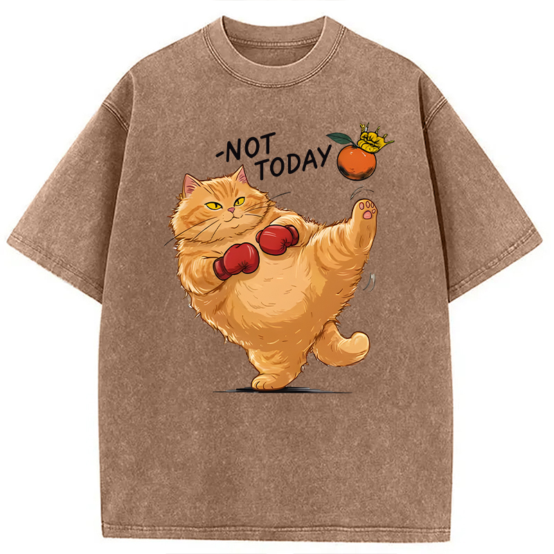 Modecanvas Boxing Cat DTG Printing Washed T-Shirt