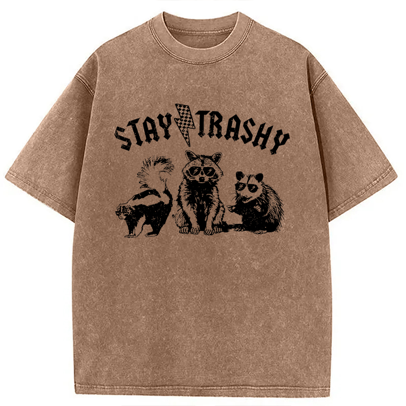 Modecanvas Stay Trashy Funny Raccoon DTG Printing Washed T-Shirt