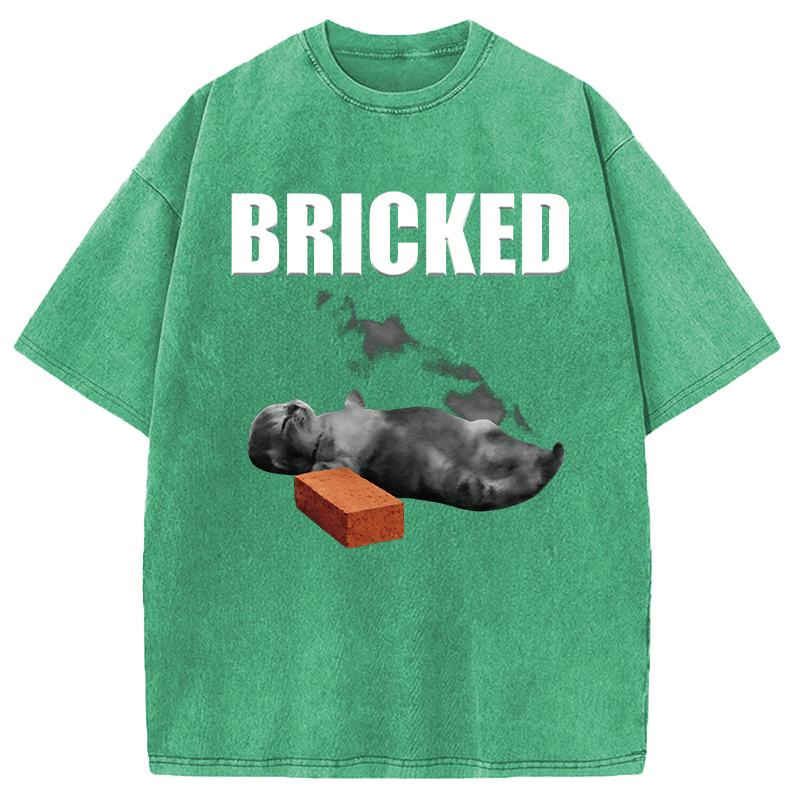 Modecanvas Bricked Funny Cat Knocked Out DTG Printing Washed T-Shirt