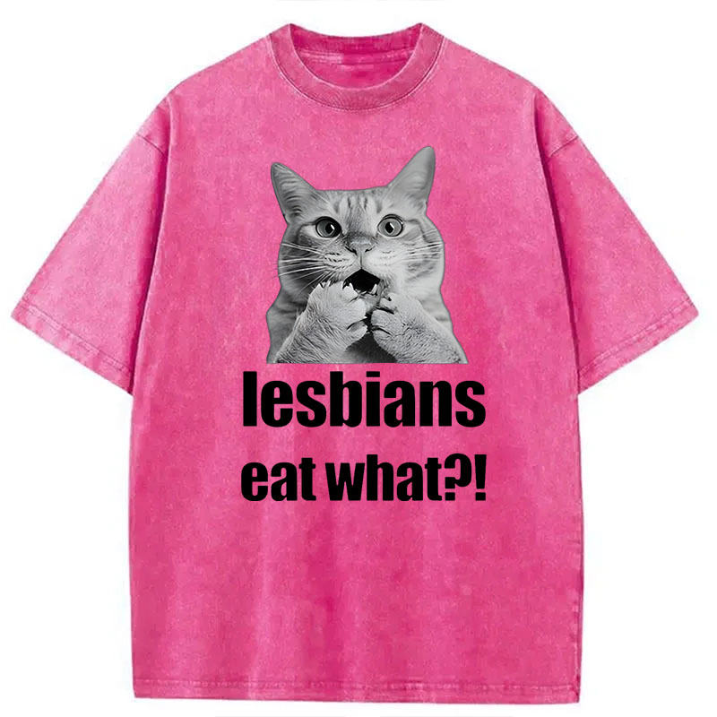 Modecanvas Lesbians Eat What? Funny Gay Joke DTG Printing Washed T-Shirt