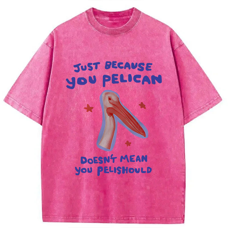 Modecanvas Just Because You Pelican DTG Printing Washed T-Shirt