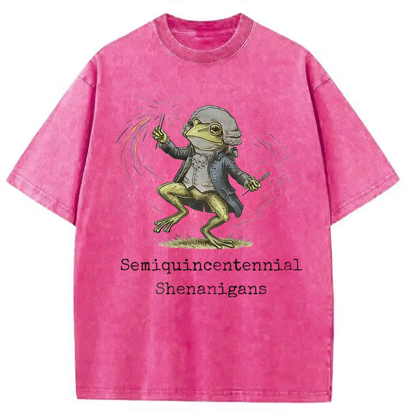 Modecanvas Funny Frog Semiquincentennial DTG Printing Washed T-Shirt