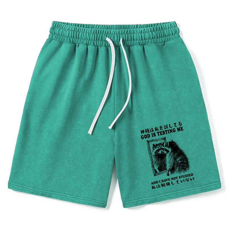 Modecanvas Raccoon Not Studied Washed Shorts