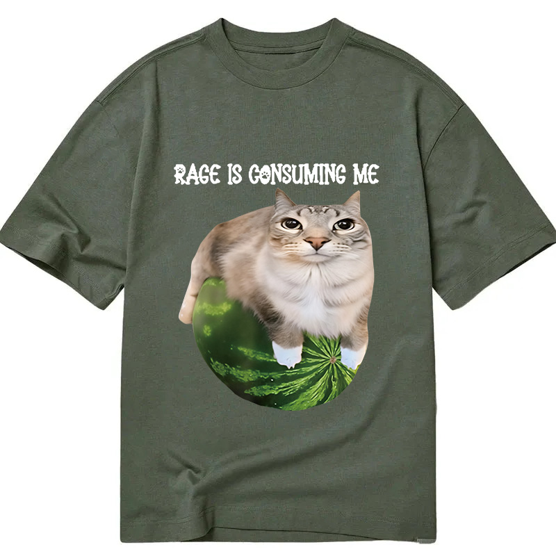 Modecanvas Rage Is Consuming Me Cat Meme DTG Printing Classic T-Shirt-modecanvas