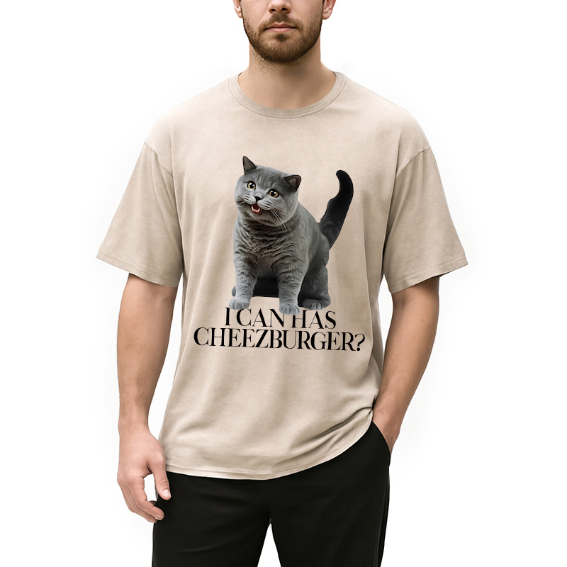 Modecanvas I Can Has Cheezburger Washed T-Shirt
