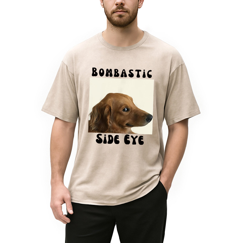 Modecanvas Bombastic Side Eye Funny Dog Meme Washed T-Shirt