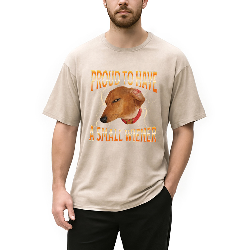 Modecanvas Funny Dog Meme Washed T-Shirt