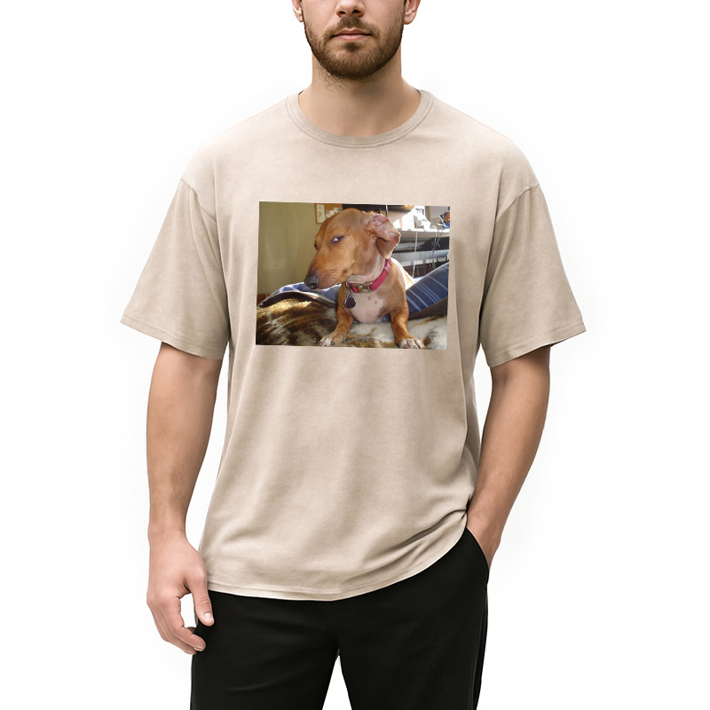Modecanvas Side Eye Dog Meme Washed T-Shirt