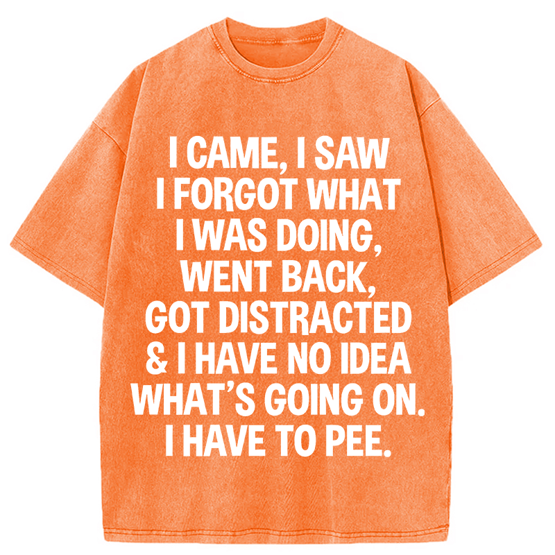 Modecanvas I Came I Saw I Forgot What I Was Doing DTG Printing Washed T-Shirt