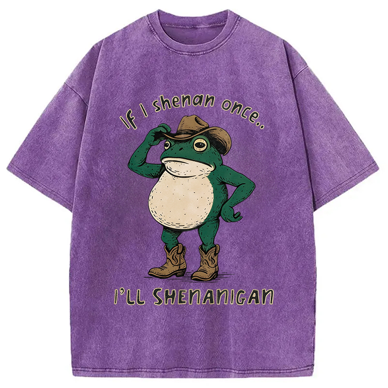 Modecanvas If I Shenan Once Funny Frog DTG Printing Washed T-Shirt
