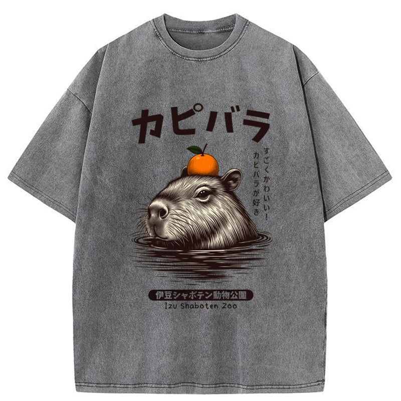 Modecanvas Capybara Hot Spring Washed T-Shirt