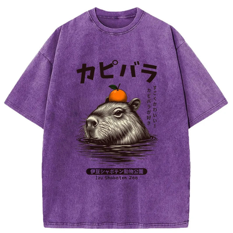 Modecanvas Capybara Hot Spring Washed T-Shirt