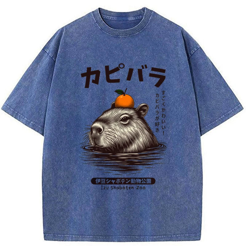 Modecanvas Capybara Hot Spring Washed T-Shirt