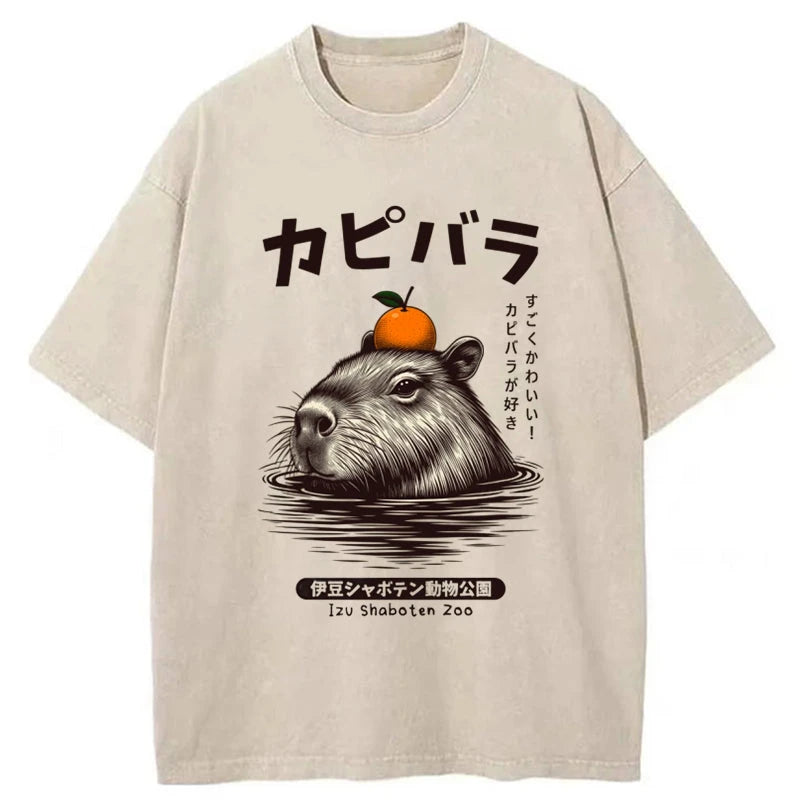 Modecanvas Capybara Hot Spring Washed T-Shirt