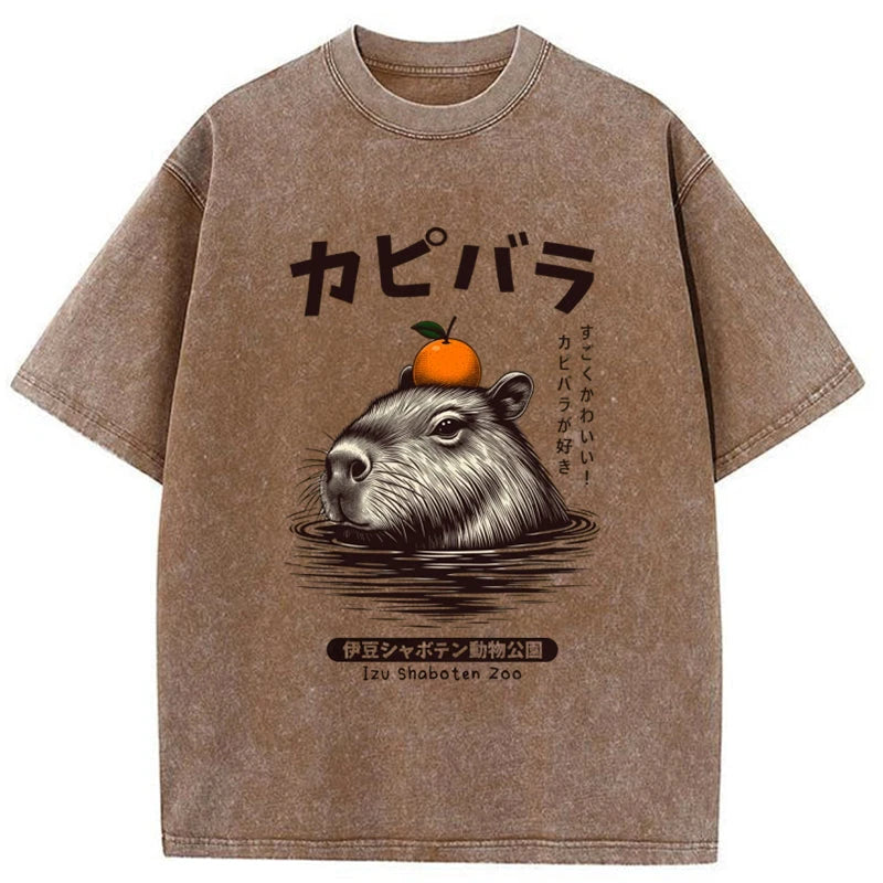 Modecanvas Capybara Hot Spring Washed T-Shirt