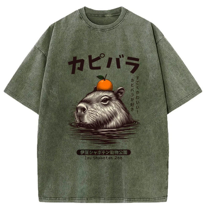 Modecanvas Capybara Hot Spring Washed T-Shirt