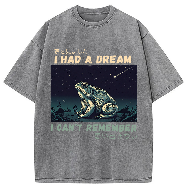 Modecanvas I Had A Dream Toad DTG Printing Washed T-Shirt