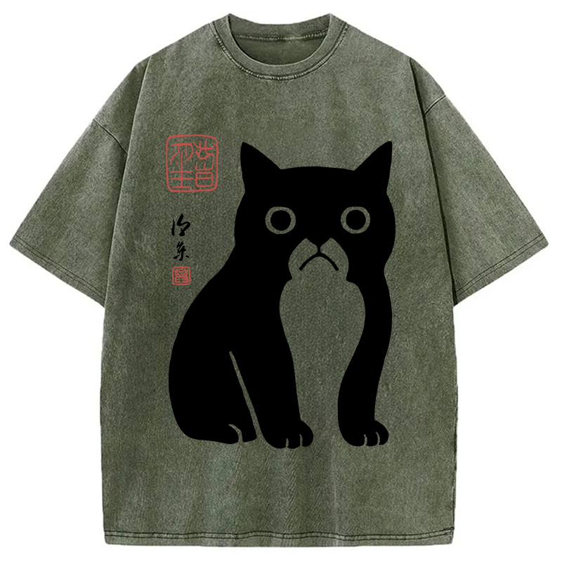 Modecanvas Funny Zen Cat Meme Washed T-Shirt