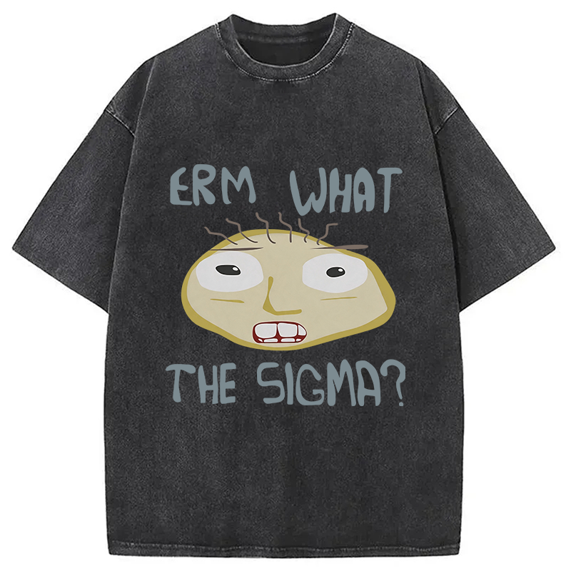 Modecanvas Erm What the Sigma Meme DTG Printing Washed T-Shirt