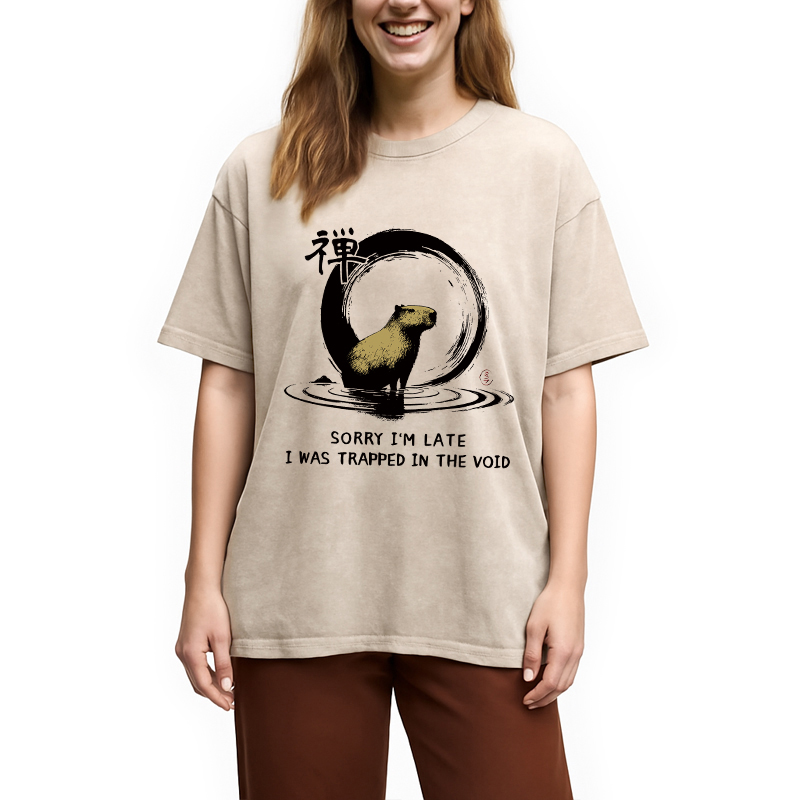 Modecanvas Zen Capybara Was Trapped In The Void Washed T-Shirt