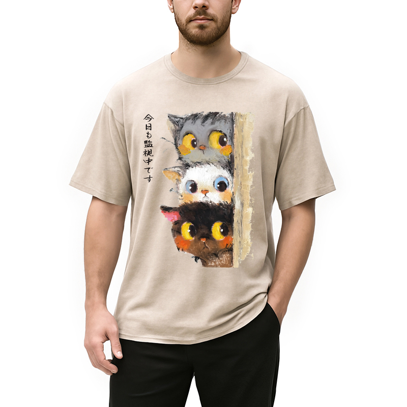 Modecanvas Three Cats Secretly Monitor Washed T-Shirt